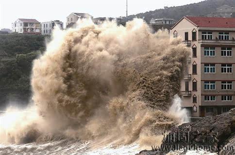 台风过境，专业房屋加固为您“保驾护航”