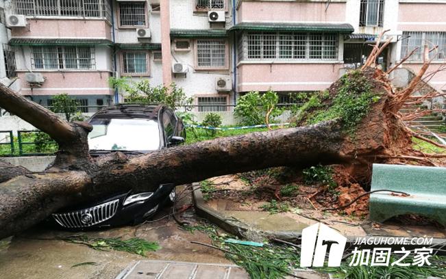 台风“山竹”对建筑物造成多大的影响？